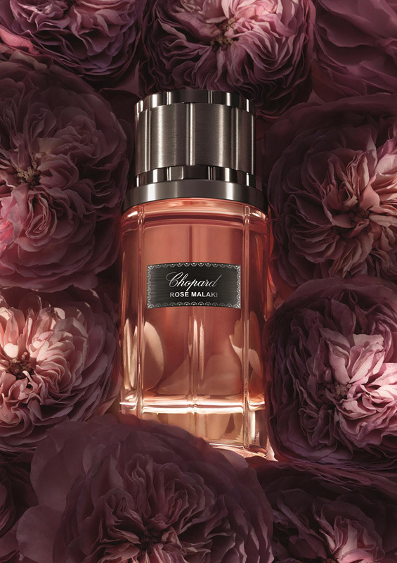 ��������� ����