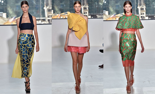 Delpozo �����-���� 2015