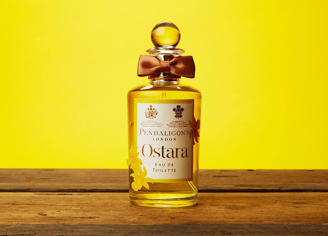 ������� � ��������