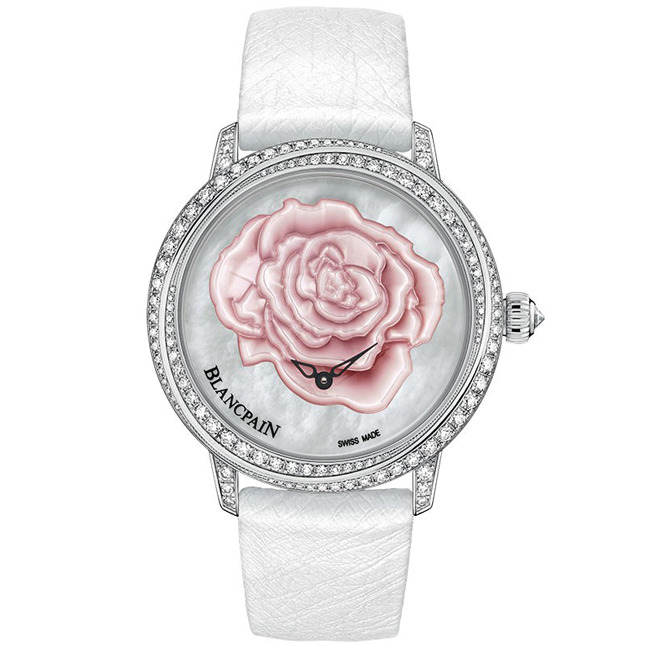 ������ ����