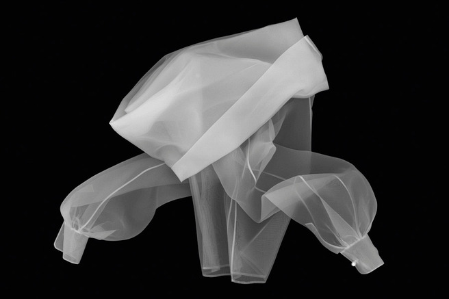 ������� ���������