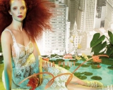 �������� ��������� ��������� �� ��� � ���������� ������������ �����-������� ���� �����