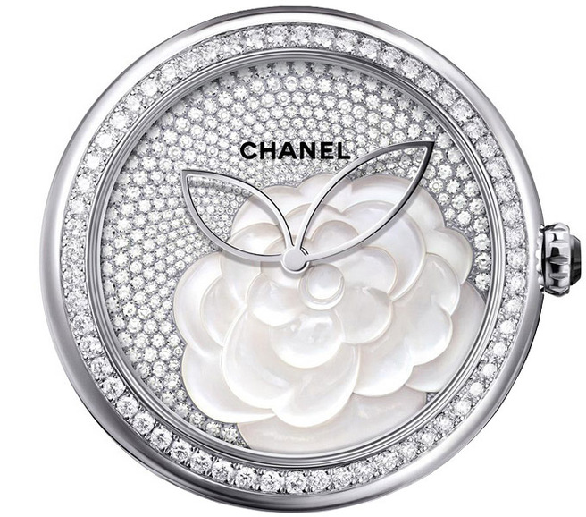 ������������� ����