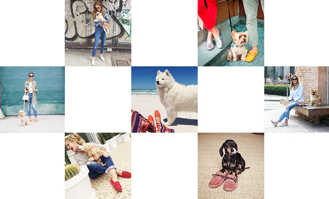 ������ �������