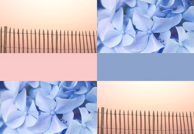 ������� ����� � ������������� � ����� 2016 ����