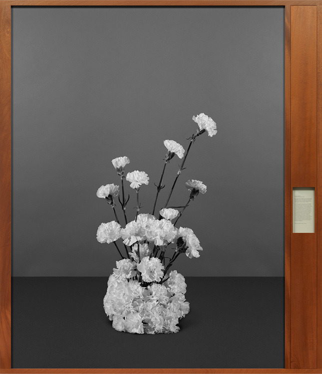 17 ����� ����� ������ ������� �������� ����� ����� ������ ����������