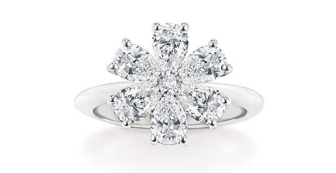   Harry Winston