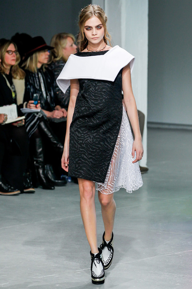 Rodarte �����/���� 2013-14