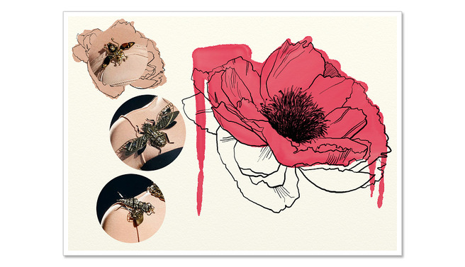 �����������