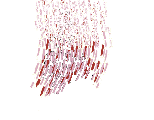 �������� ����