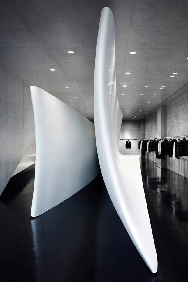 ���� ����� �������