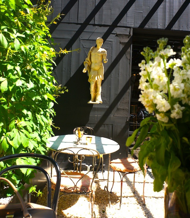 ������� ����� ����