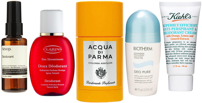 �������� ���