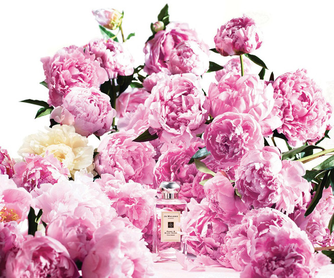 ����� � �����