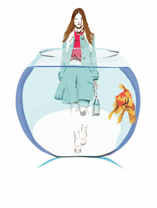 ������� ��������