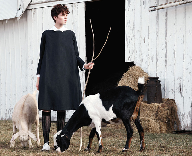 ������ �����