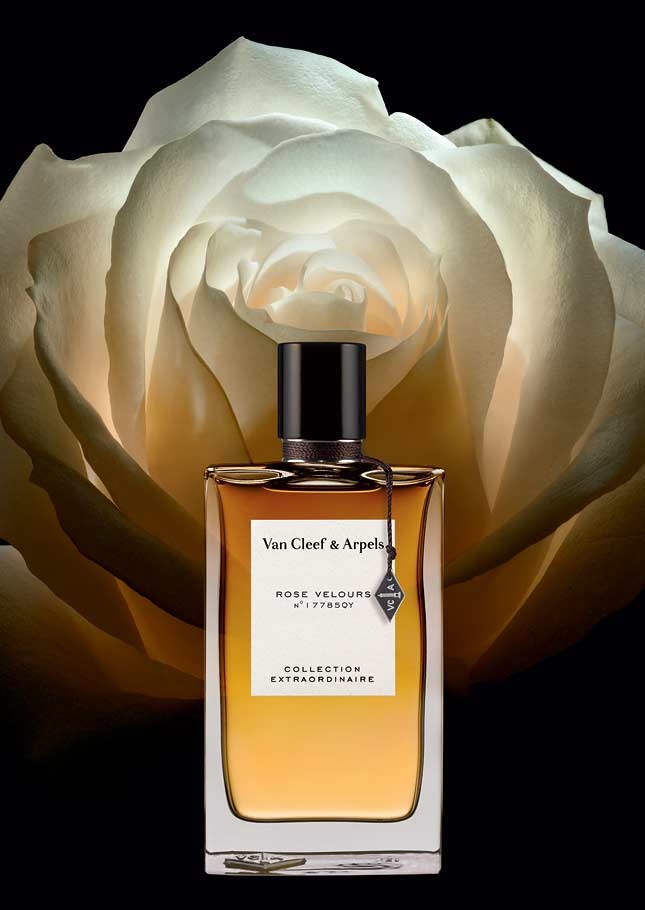 ��������� ����