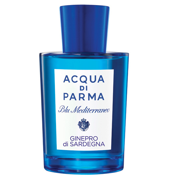 �������� ����� ����