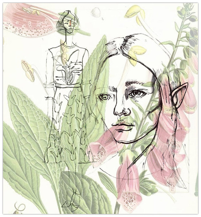 ���������