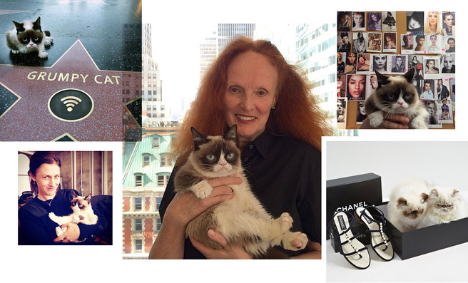 inVOGUE: ������ ���